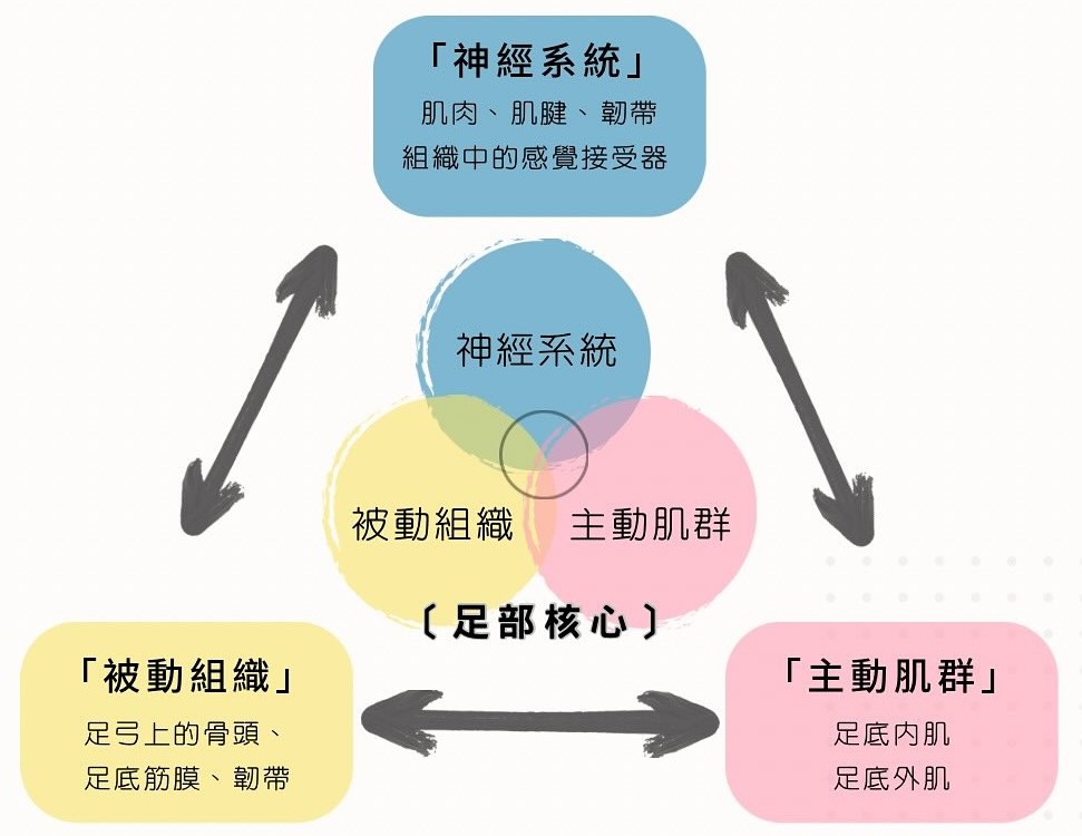 一張含有 文字, 靜止的, 觸控筆, 設計 的圖片AI 產生的內容可能不正確。